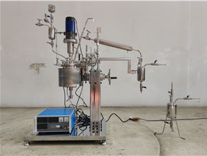 0.5L高溫不銹鋼手動升降尼龍聚合實驗釜已完工發往北京