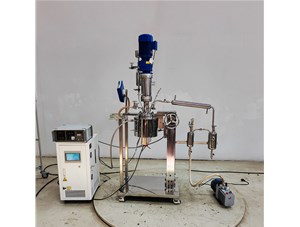 1L不銹鋼手動升降實驗釜已完工發往孟加拉