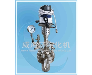 0.5L 微型反應釜