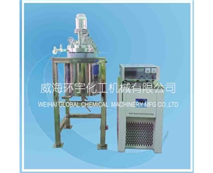 5L Stainless Steel Reactor