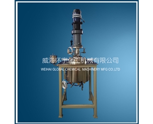5L Stainless Steel Reactor with Direct Motor
